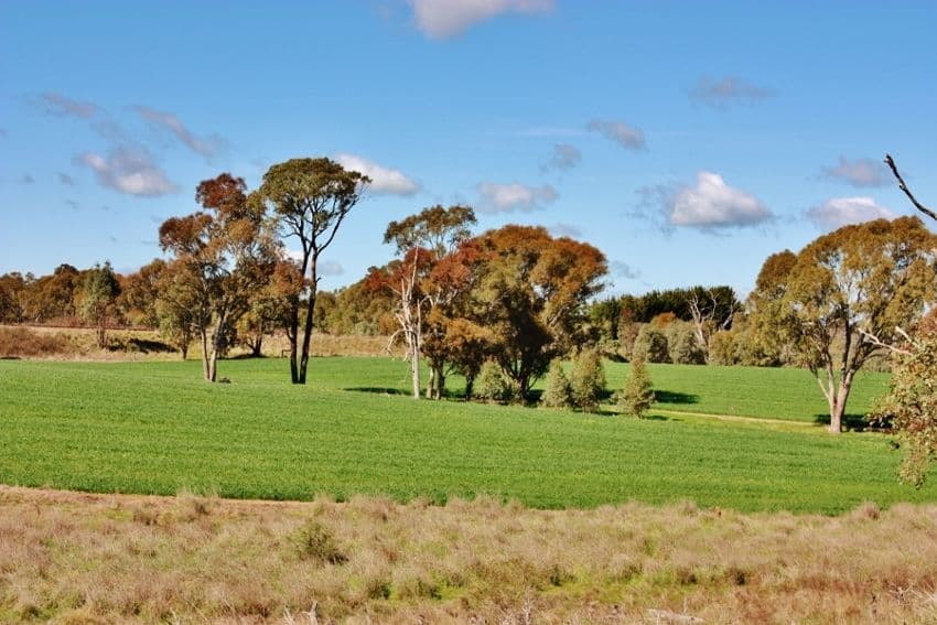 Lot 94 Boundary Road, YOUNG NSW 2594, Young - Image 1