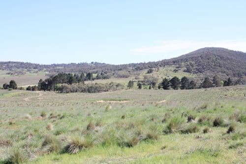 36 Rossi Road, HOSKINSTOWN NSW 2621, Hoskinstown - Image 1