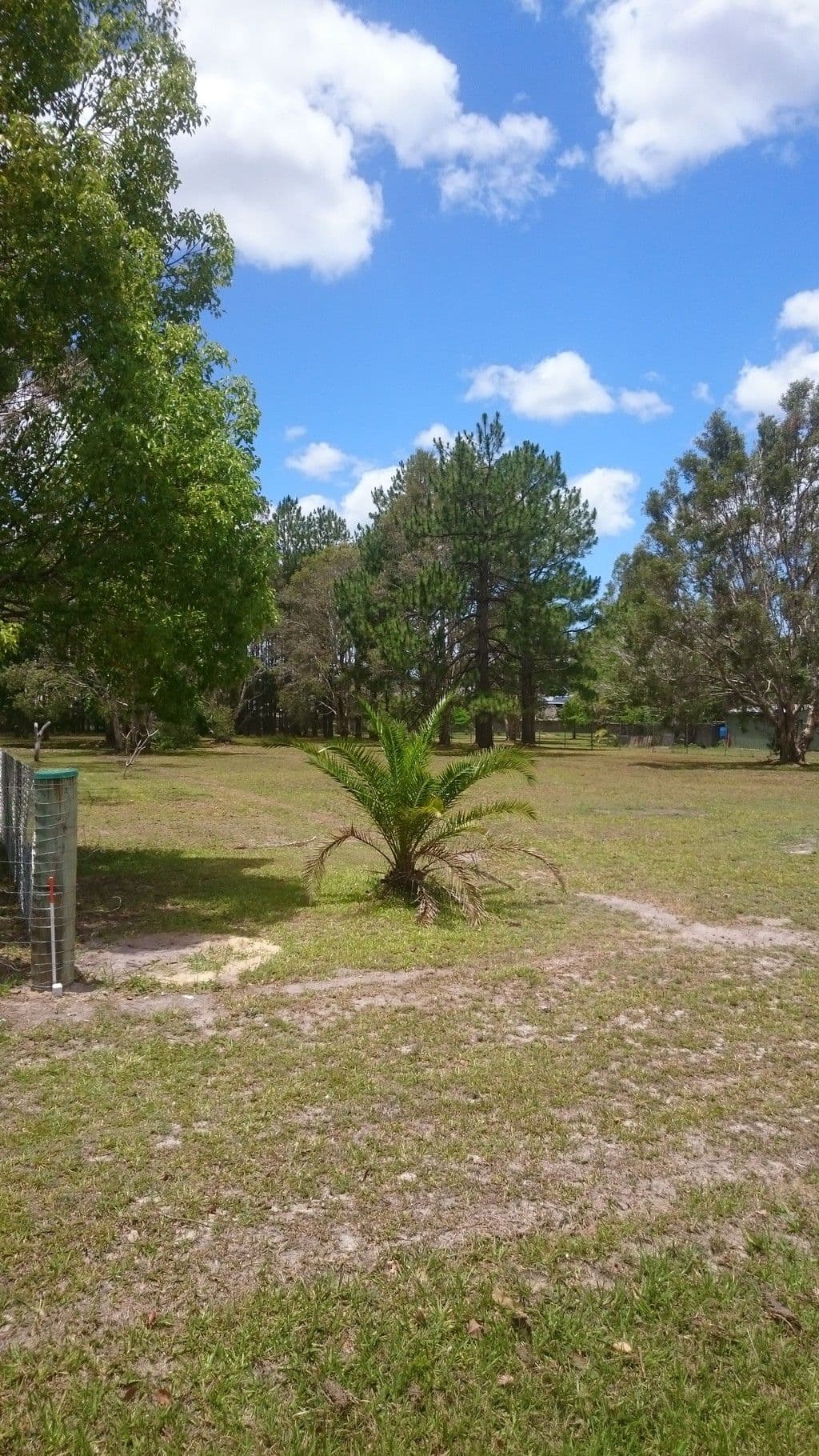 18 Fairmount Street, Elimbah QLD 4516, Elimbah - Image 1