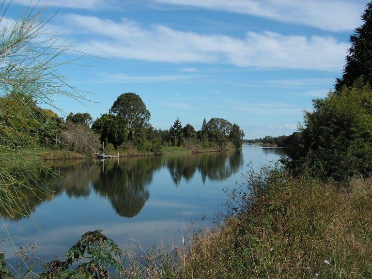 259 Riverbank Road, LOWER SOUTHGATE NSW 2460, Lower Southgate - Image 1