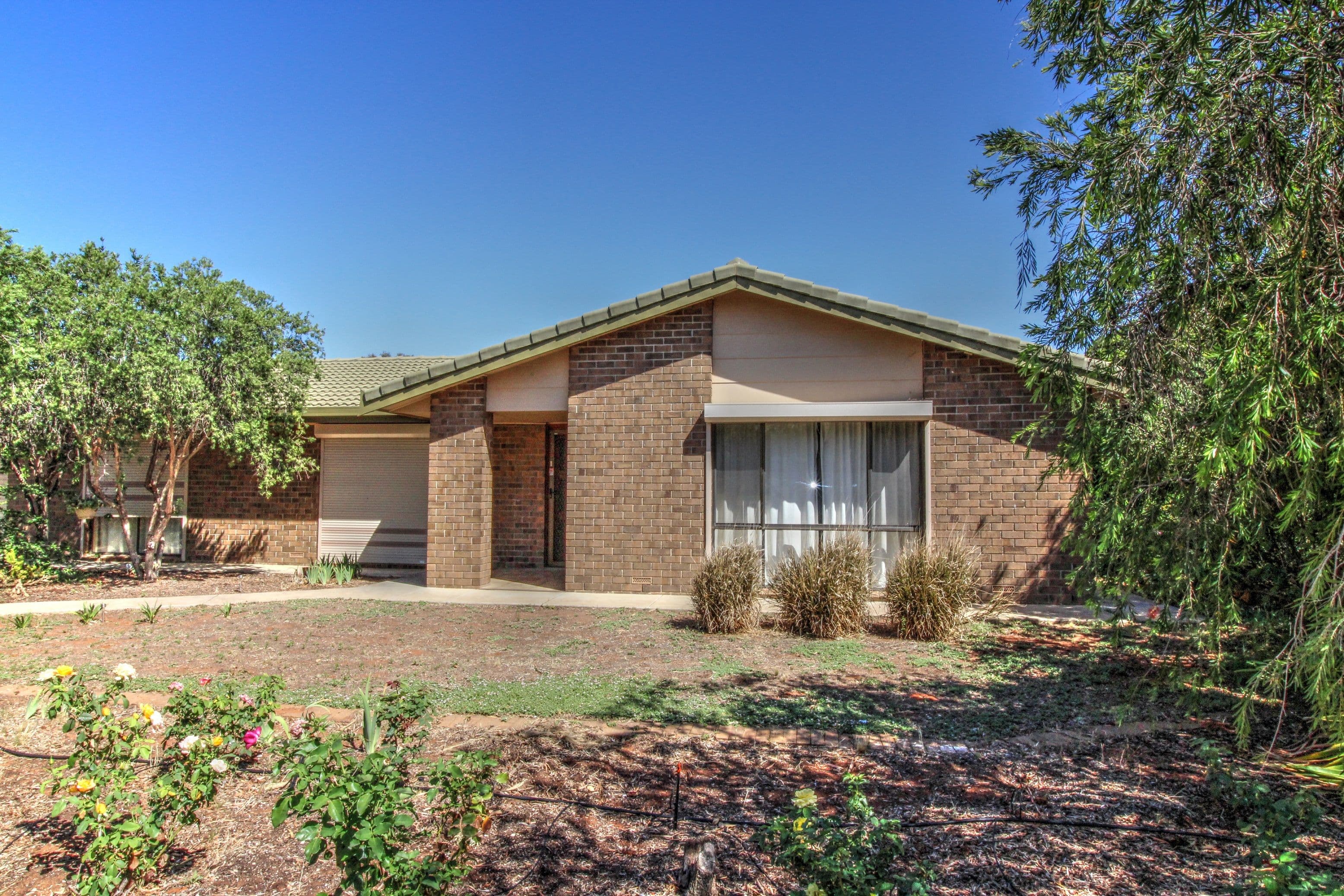 14 Tolarno Street, Renmark SA 5341, Renmark - Image 1