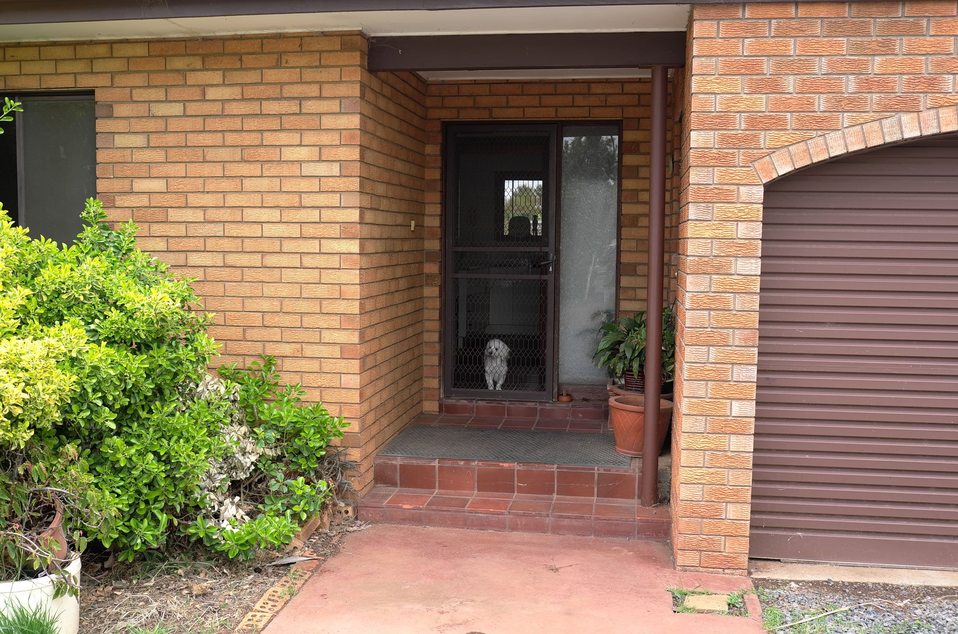 13 Watson Road, Griffith NSW 2680, Griffith - Image 1