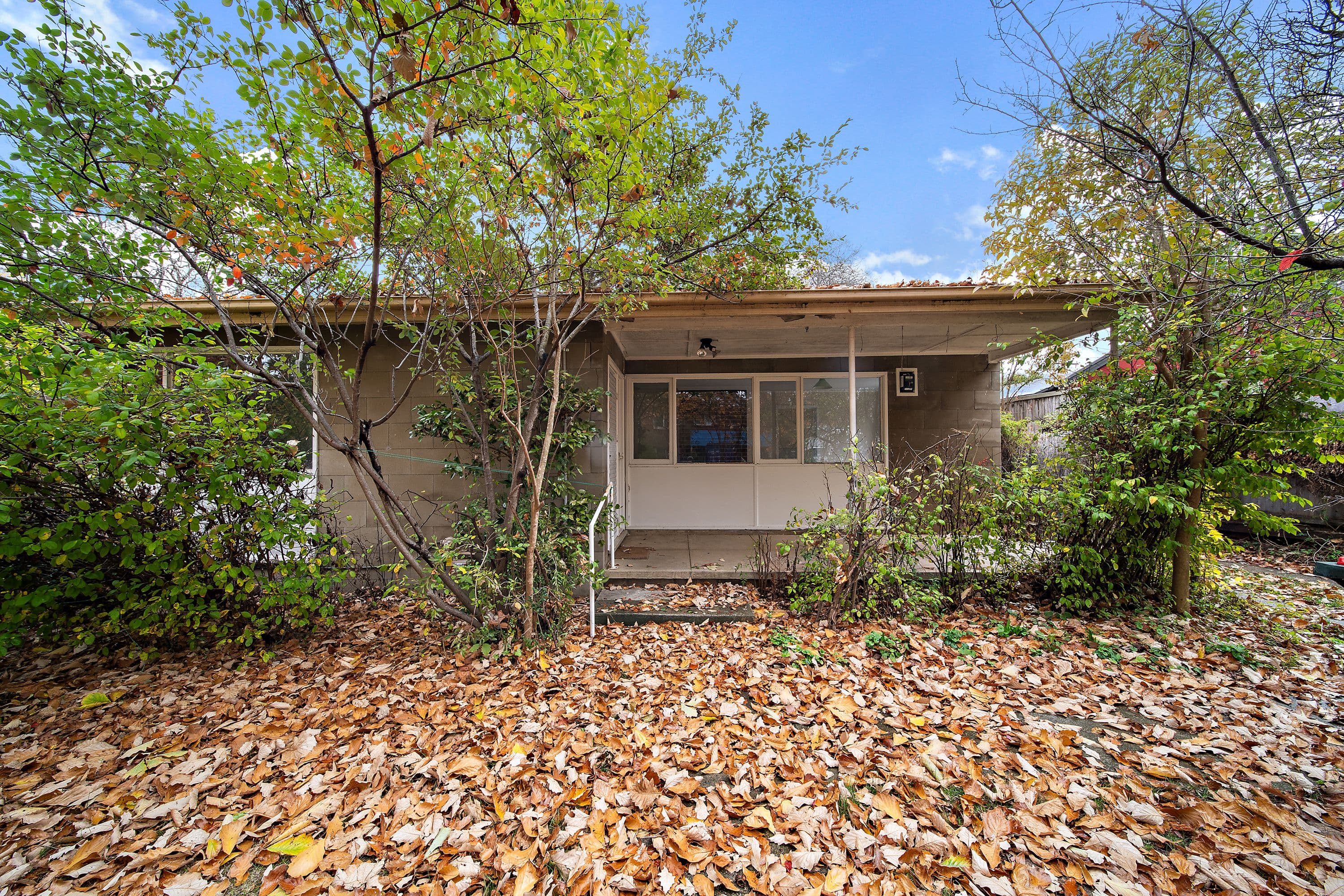 37 Lewin Street, Lyneham ACT 2602, Lyneham - Image 1
