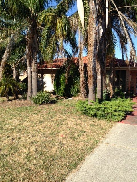 14 Chapman Road, CALISTA WA 6167, Calista - Image 1