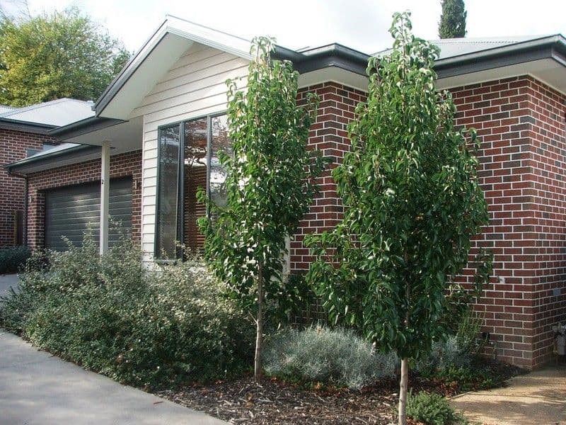 HEALESVILLE VIC 3777, Healesville - Image 1