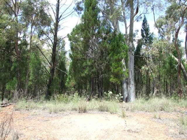 8 Solar Place, COONABARABRAN NSW 2357, Coonabarabran - Image 1