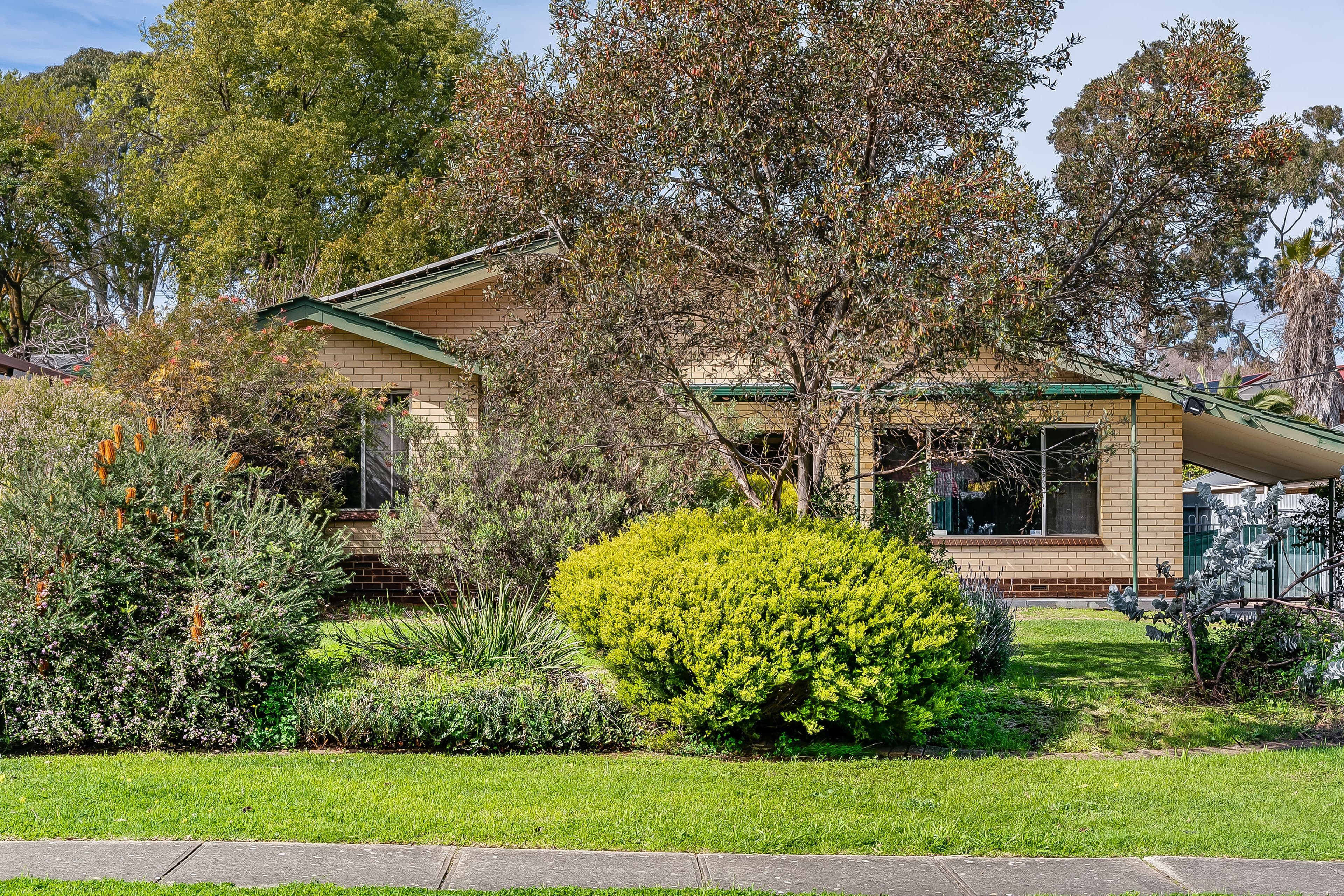 53 Cronulla Drive, Redwood Park SA 5097, Redwood Park - Image 1