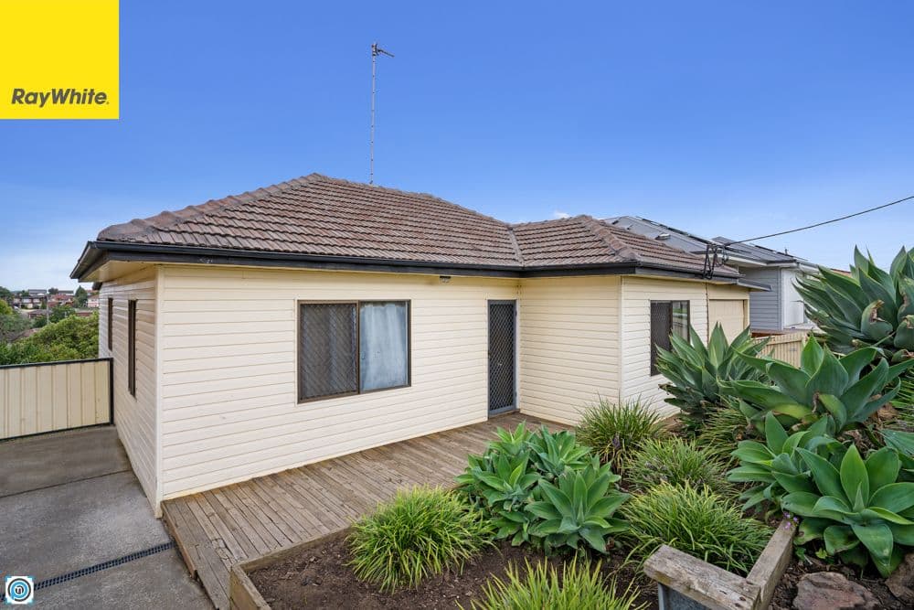 25 Minnegang Street, Warrawong NSW 2502, Warrawong - Image 1