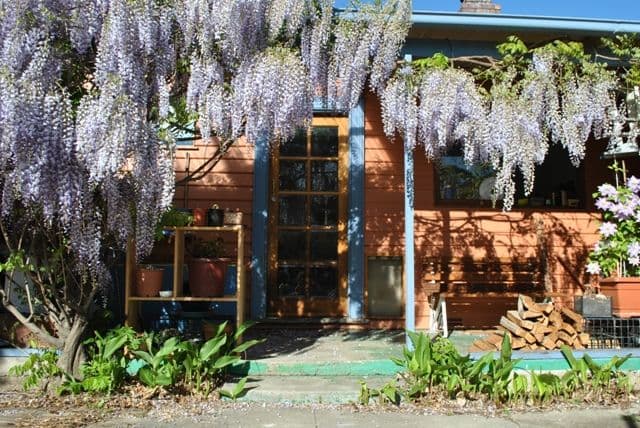 7 Gaunt Street, INVERMAY TAS 7248, Invermay - Image 1