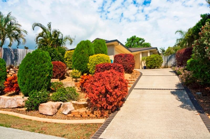 24 Shamrock Avenue, BANORA POINT NSW 2486, Banora Point - Image 1