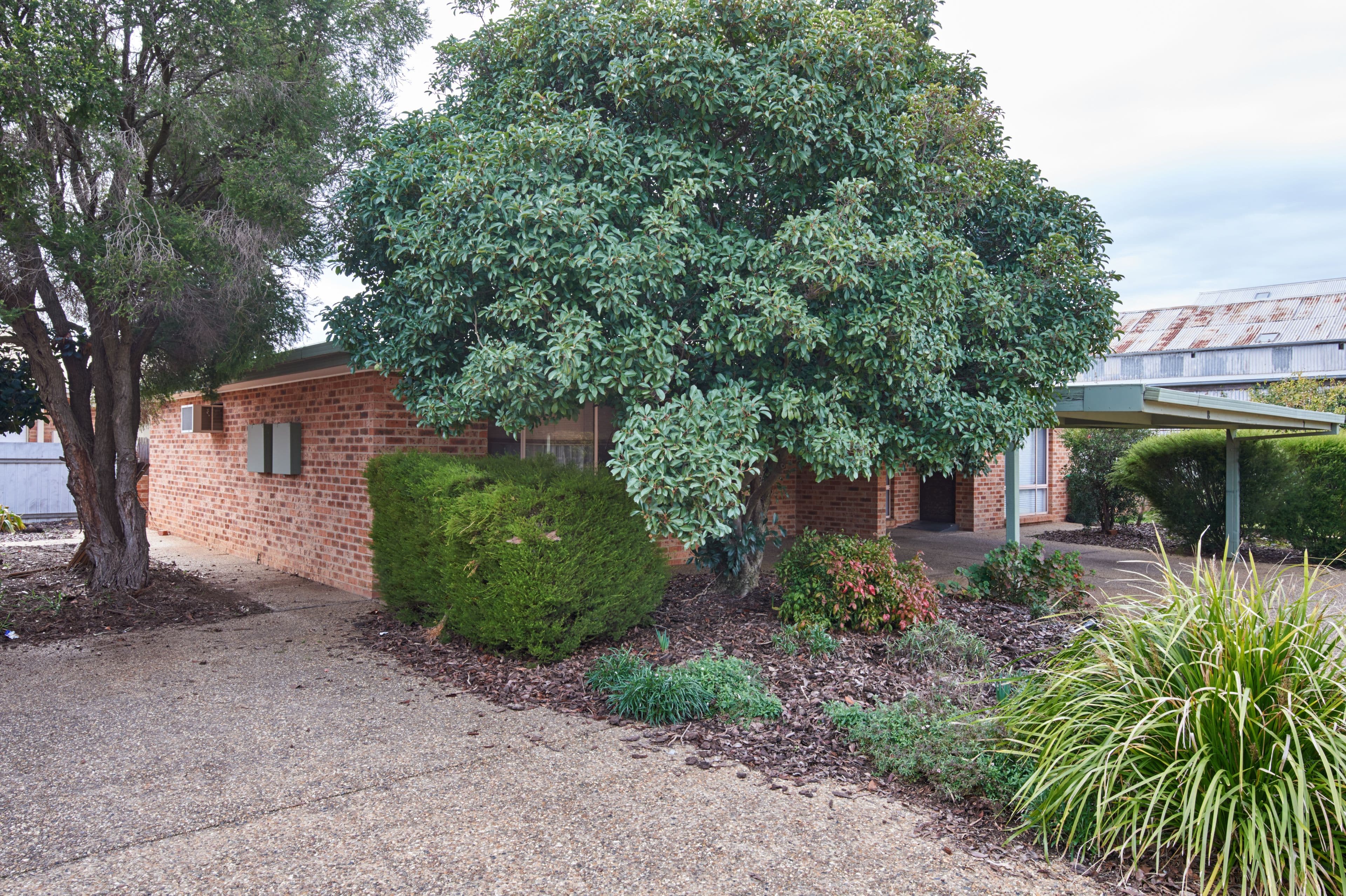 8 Bulolo Street, Ashmont - Image 1
