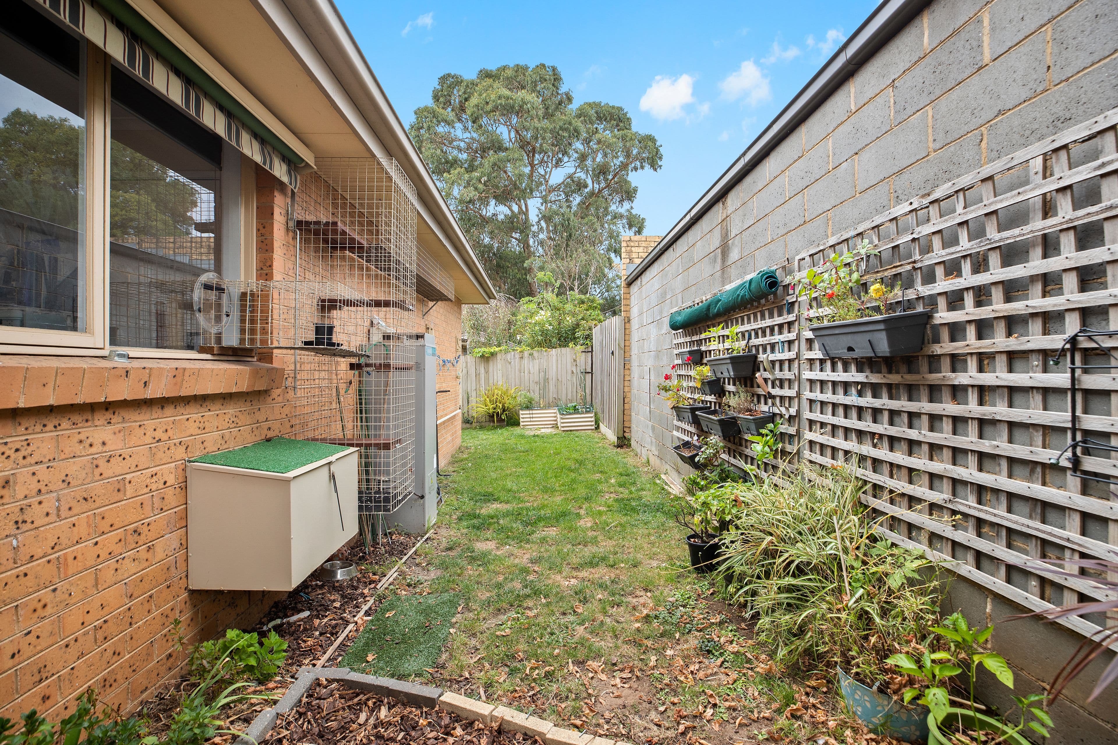6 Boronia Road, Boronia VIC 3155, Boronia - Image 1