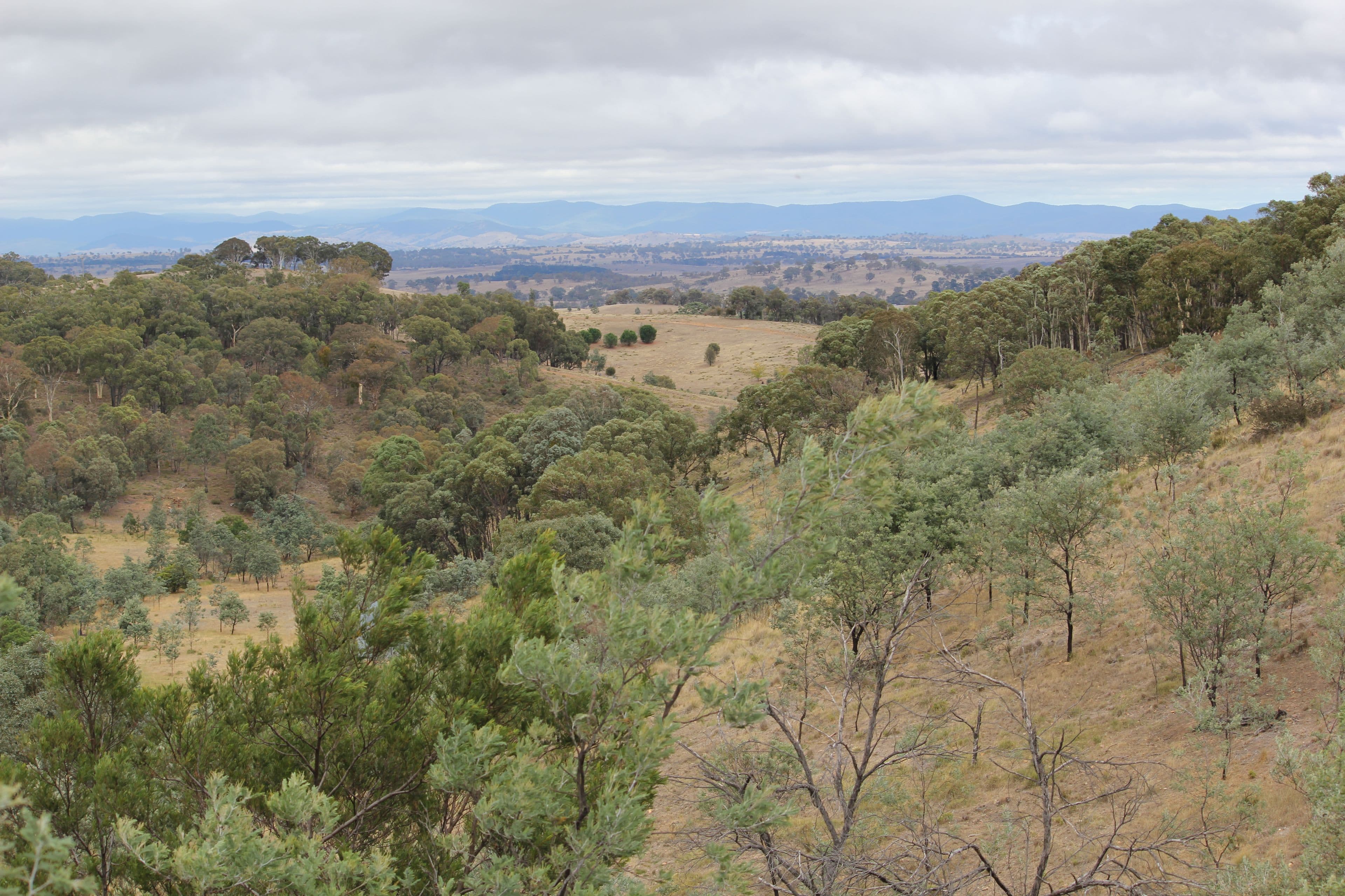 Lot 1 Reardons Road., Yass NSW 2582, Yass - Image 1