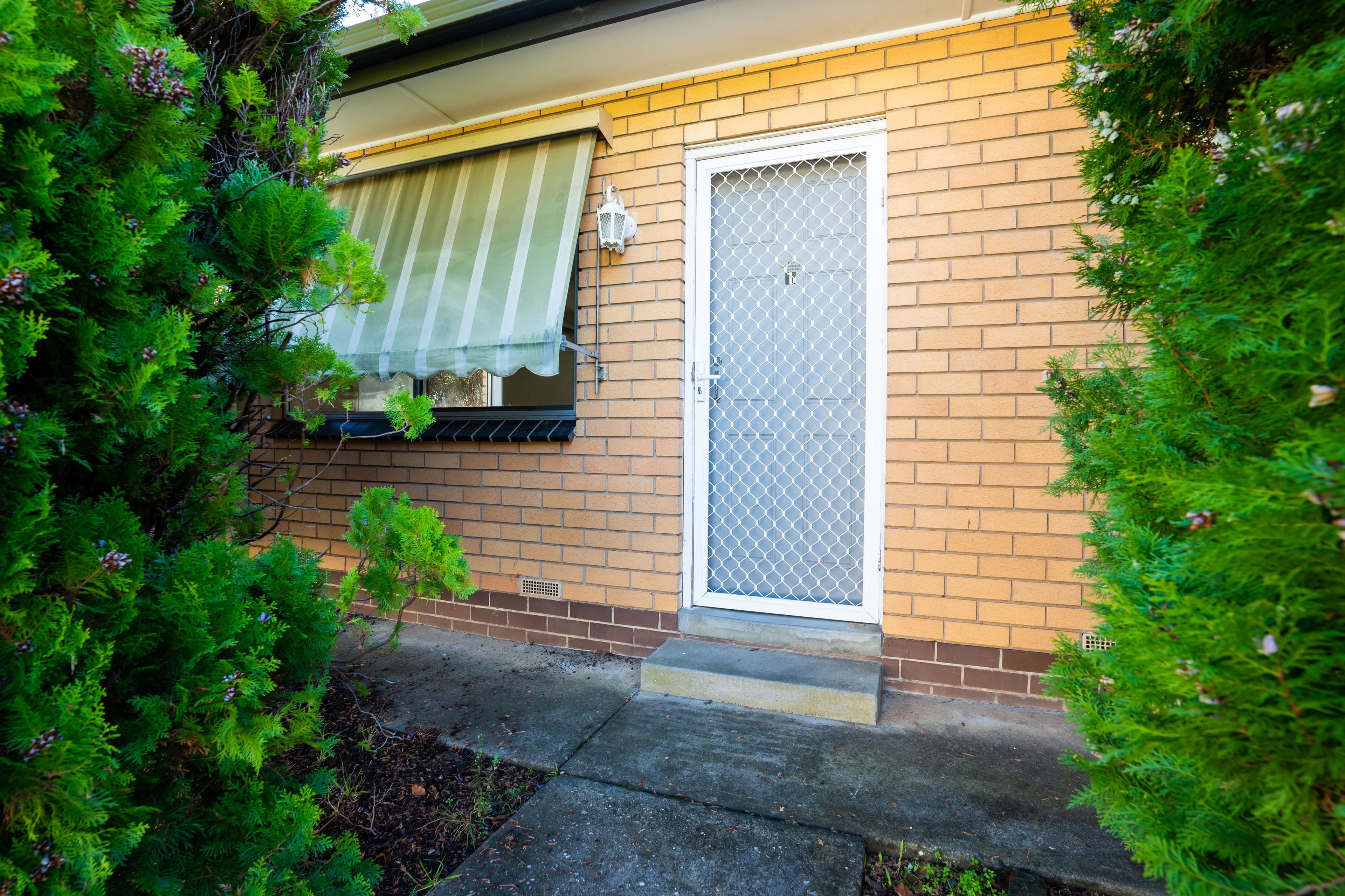 388 Parnall Street, Lavington NSW 2641, Lavington - Image 1