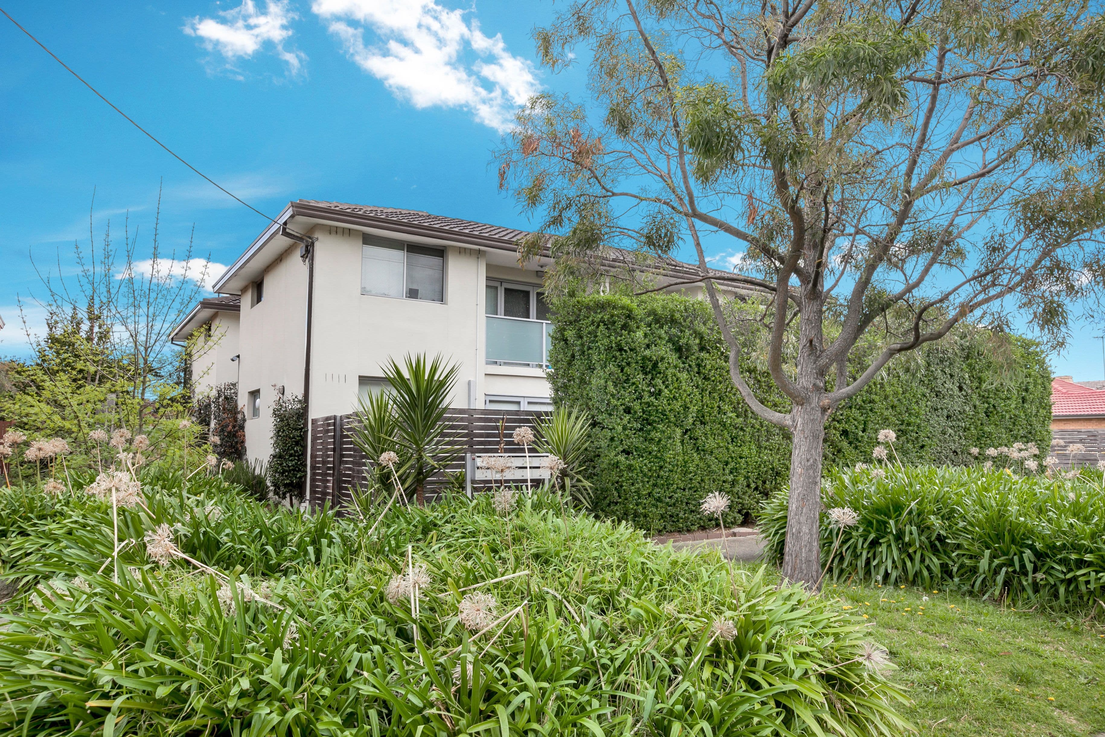 282 Mansfield Street, Thornbury VIC 3071, Thornbury - Image 1