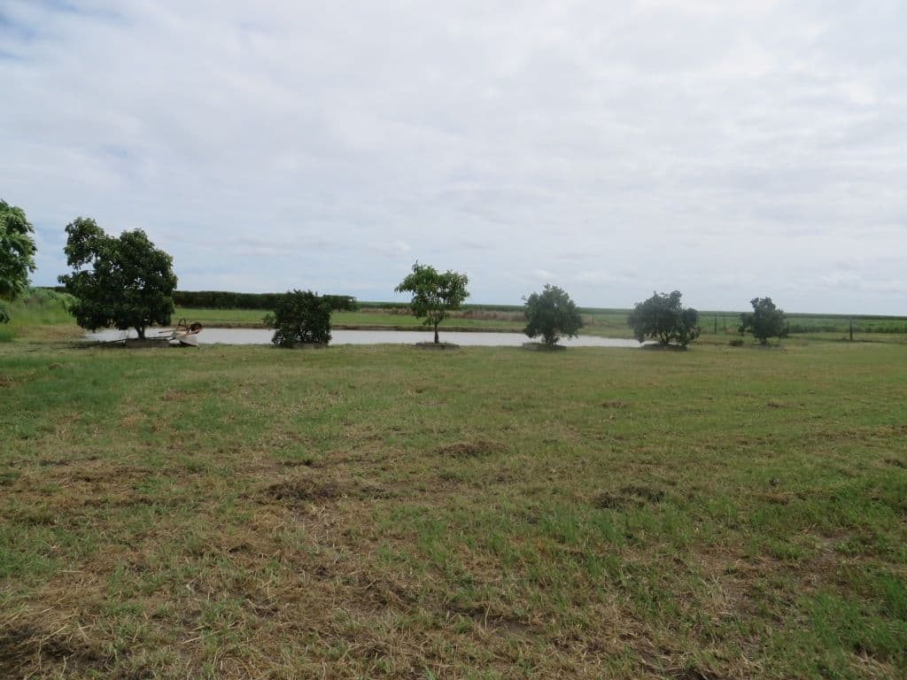 135 Bartlett Road, Horseshoe Lagoon QLD 4809, Horseshoe Lagoon - Image 1