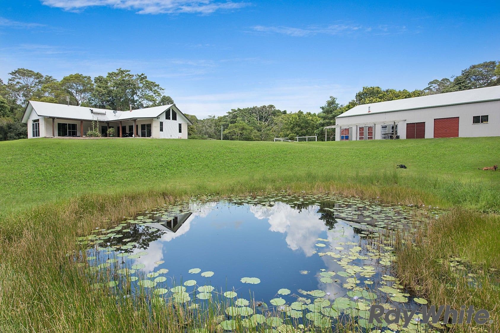 15 Mitchell Lane, Witta QLD 4552, Witta - Image 1