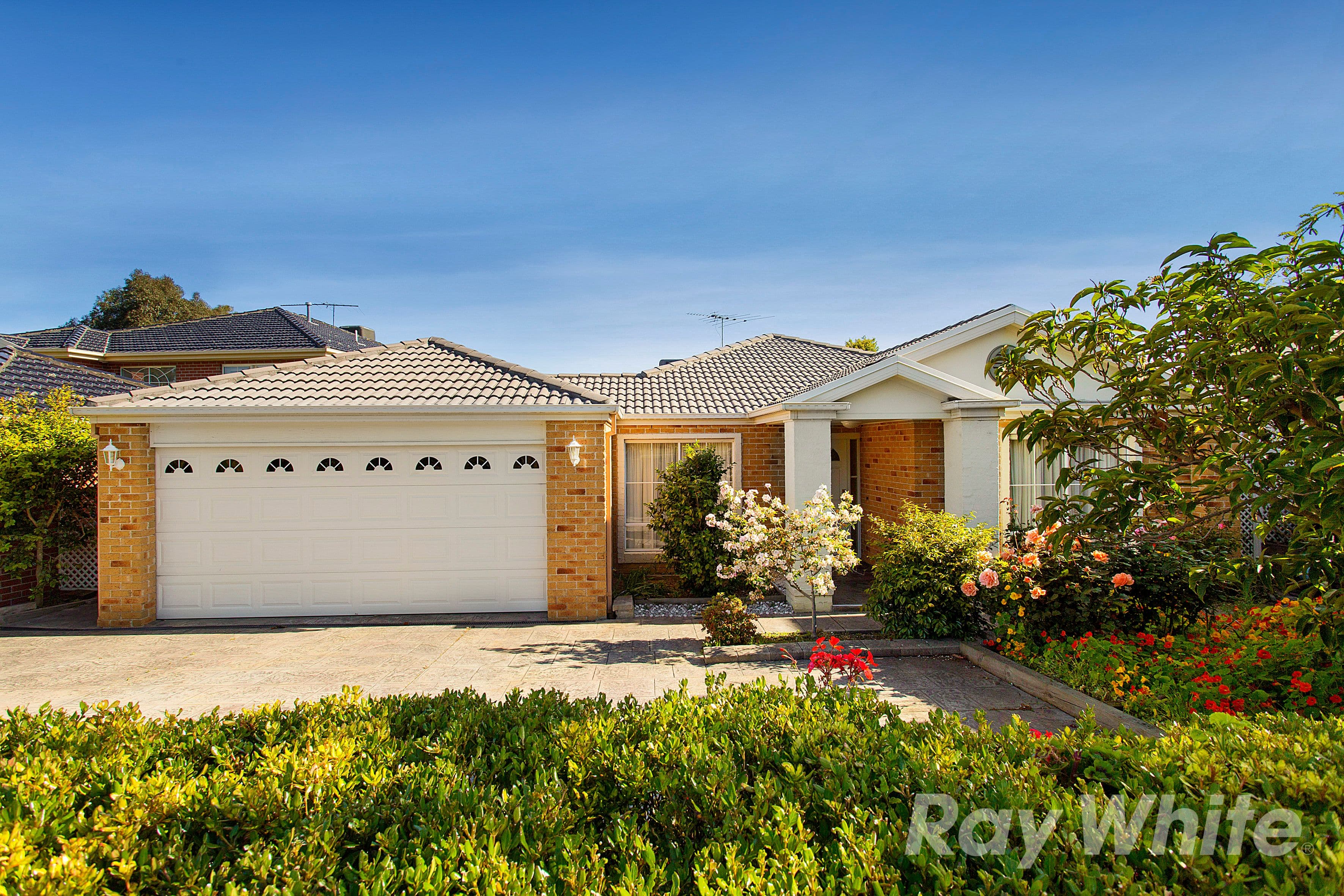 101 Coleman Parade, Glen Waverley VIC 3150, Glen Waverley - Image 1
