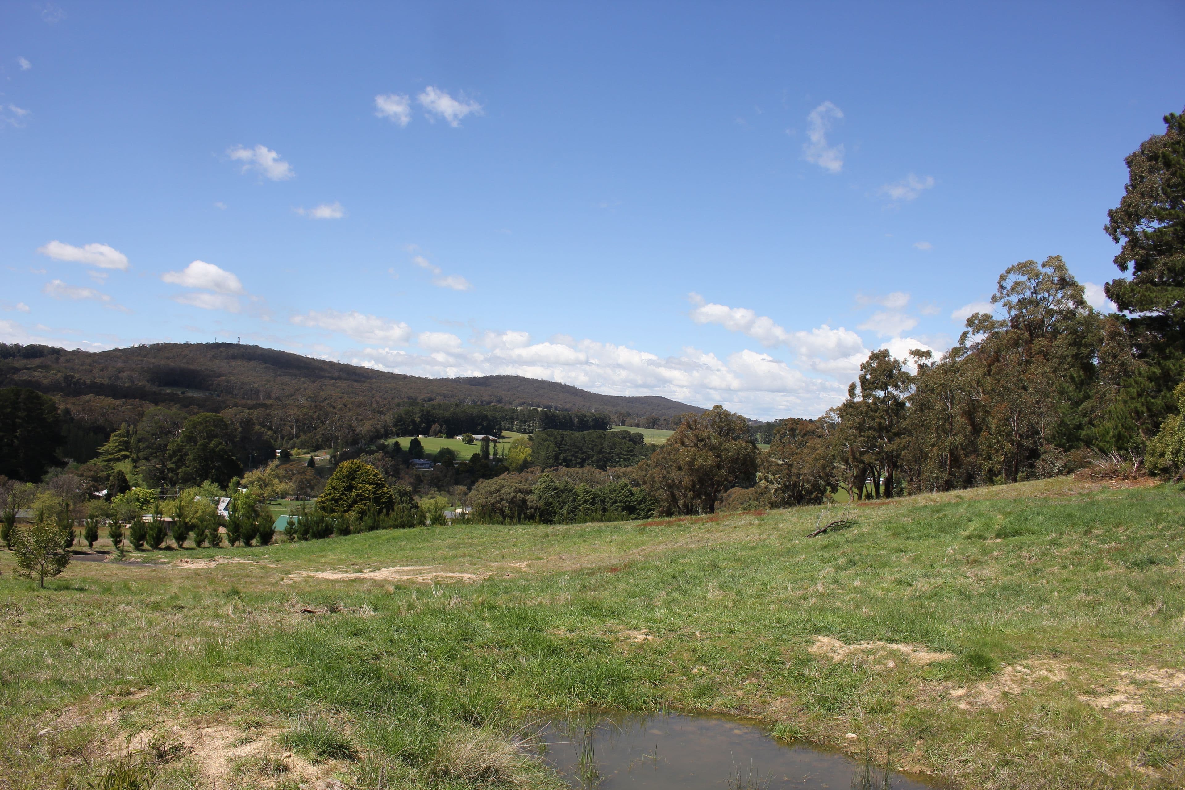 323 Yetholme Drive, Yetholme NSW 2795, Yetholme - Image 1