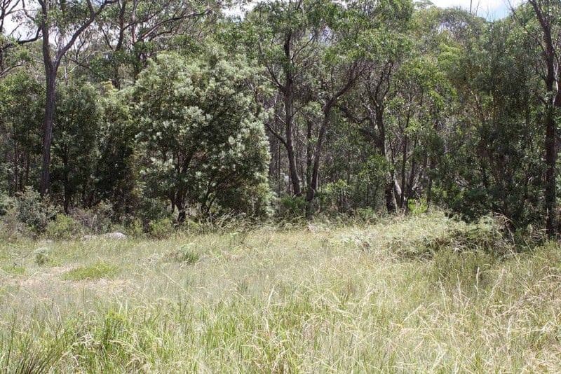 66 Sara River Road, GLEN INNES NSW 2370, Glen Innes - Image 1
