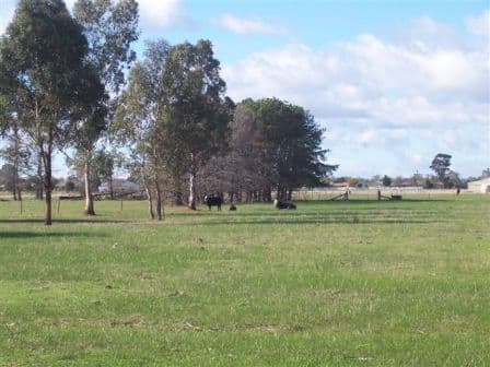 2 Cemetery Lane, COROWA NSW 2646, Corowa - Image 1
