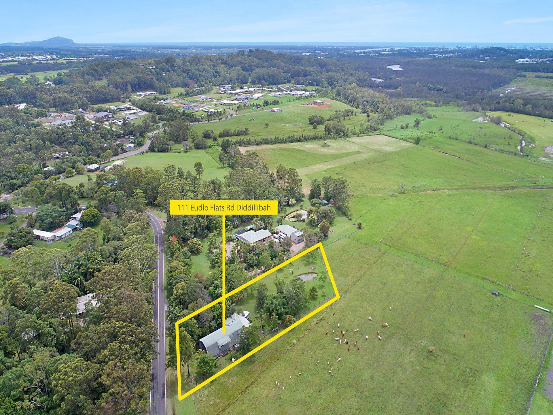111 Eudlo Flats Road, Diddillibah QLD 4559, Diddillibah - Image 1