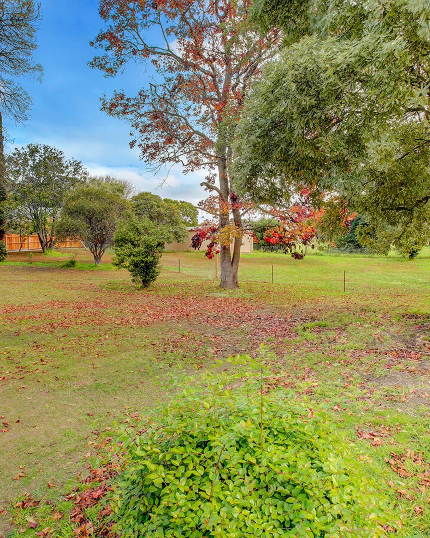 42 Hill Street Bundanoon, Bundanoon - Image 1