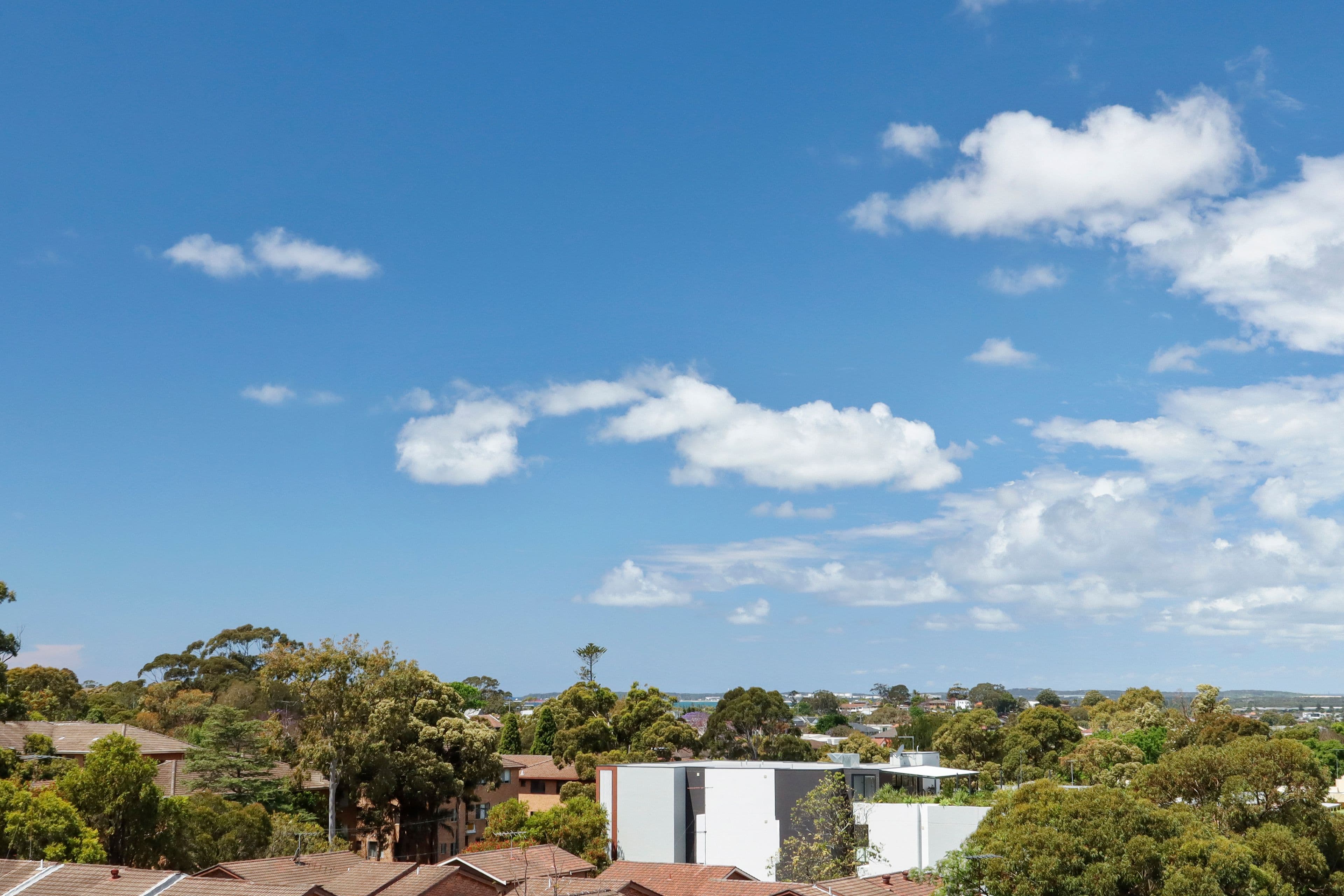 1 Finney Street, Hurstville NSW 2220, Hurstville - Image 1