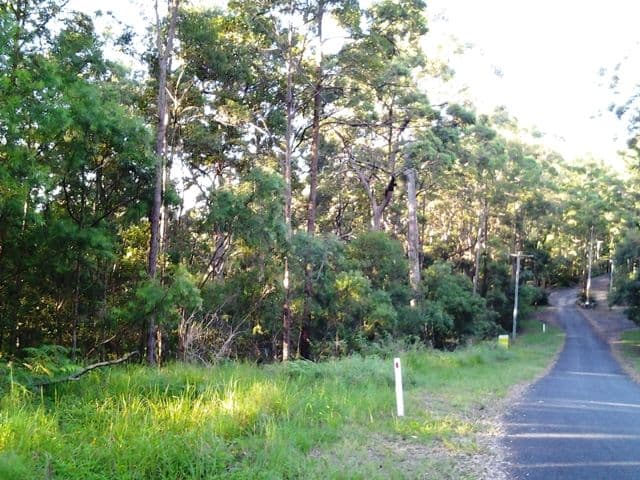 11 Barmark Court, Tallebudgera Valley QLD 4228, Tallebudgera Valley - Image 1