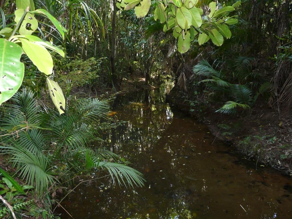 Lot 16 Rainforest Drive, Jubilee Heights QLD 4860, Jubilee Heights - Image 1
