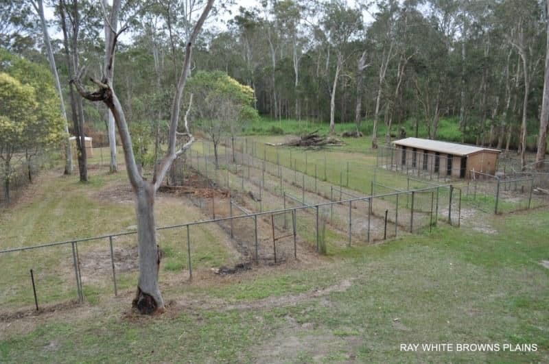 3977 Mt Lindesay Highway, GREENBANK QLD 4124, Greenbank - Image 1