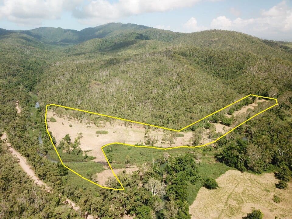 Lot 1 Saltwater Creek Road, Palm Grove QLD 4800, Palm Grove - Image 1