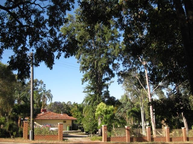 17 National Park Road, SWAN VIEW WA 6056, Swan View - Image 1