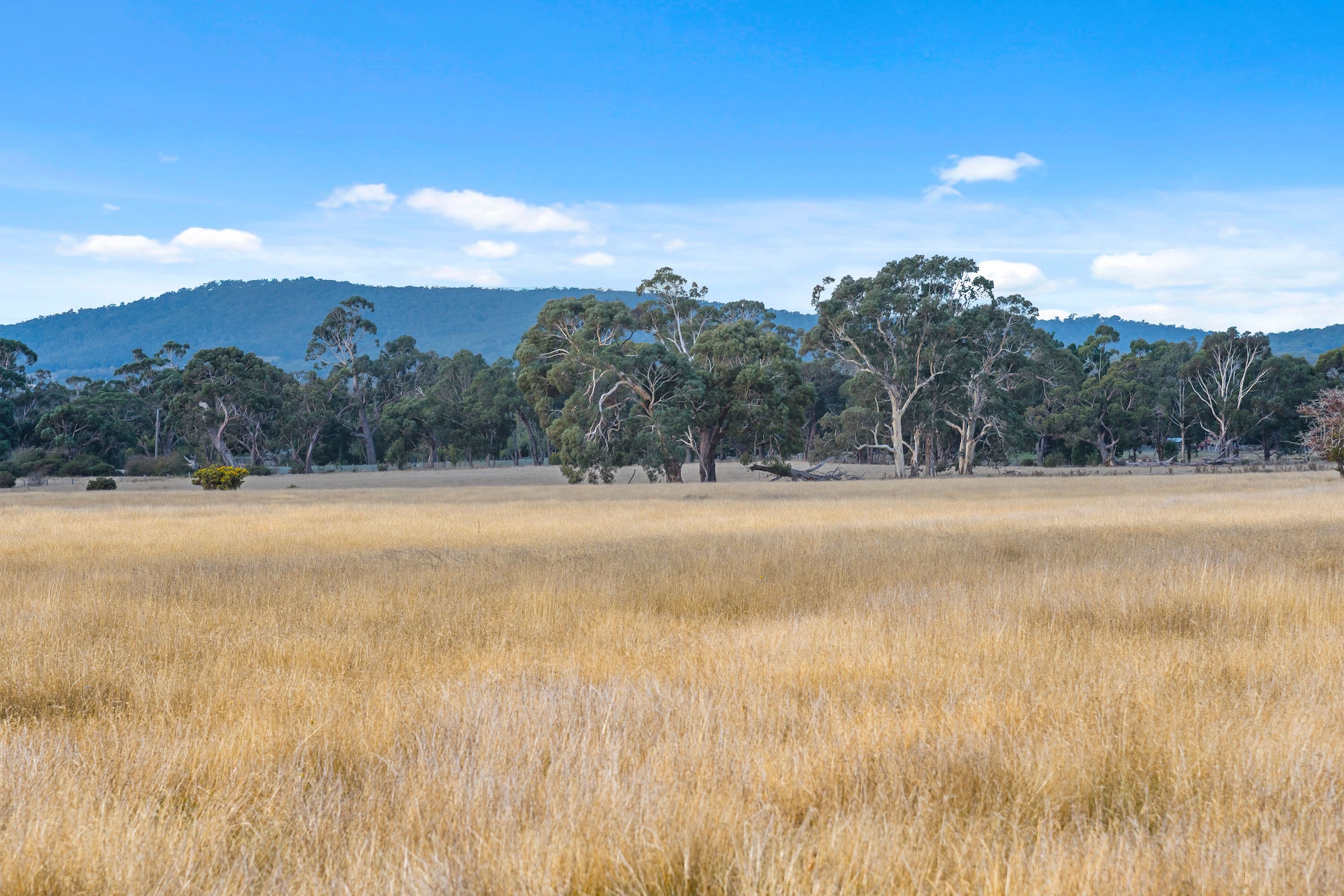 103 Williatts Lane, Pipers Creek VIC 3444, Pipers Creek - Image 1