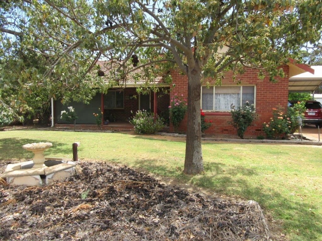 45 Mayrhofer Street, Three Springs WA 6519, Three Springs - Image 1