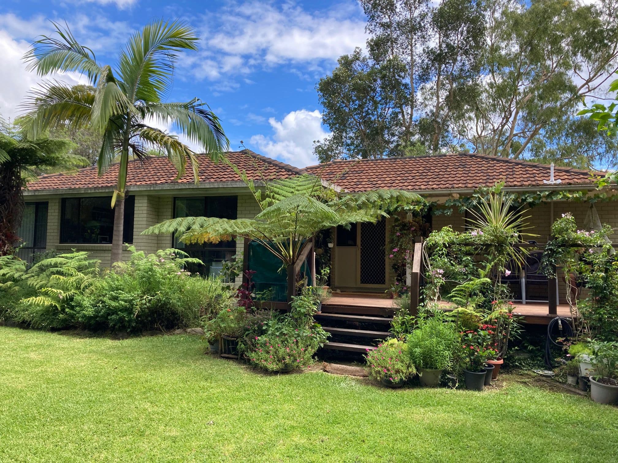 3 Halpin Street, Bellingen NSW 2454, Bellingen - Image 1