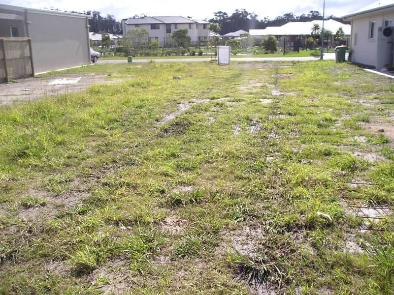 12 Macaranga Court, MERIDAN PLAINS QLD 4551, Meridan Plains - Image 1