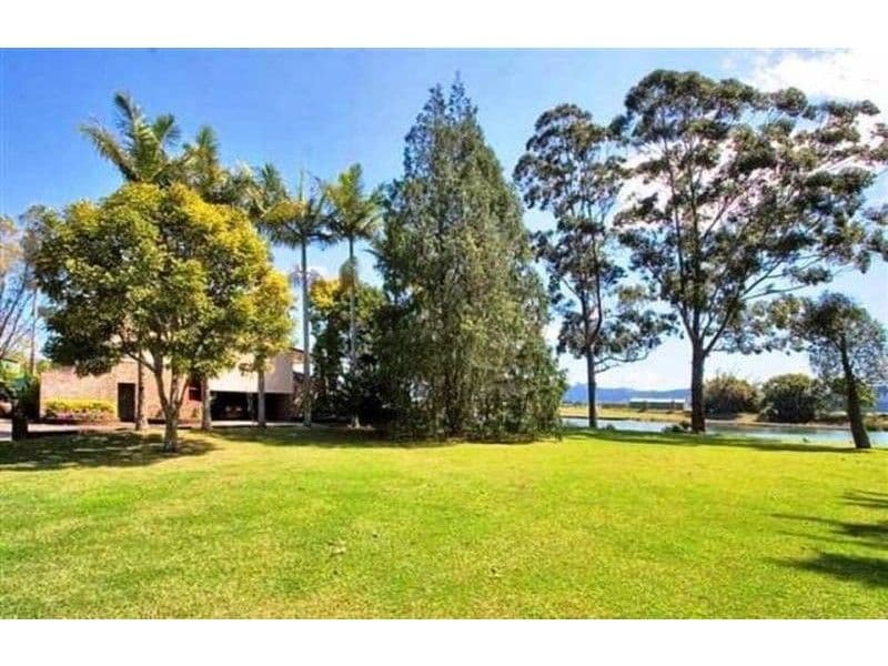 113A Tweed Valley Way, MURWILLUMBAH NSW 2484, South Murwillumbah - Image 1