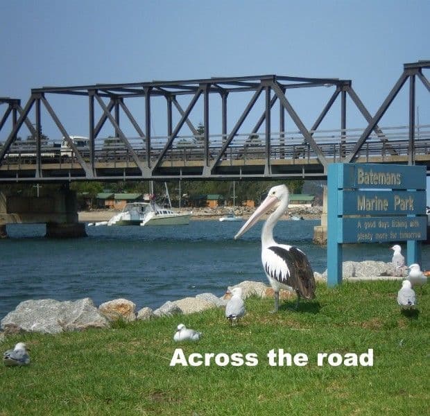 33-35 Clyde Street, BATEMANS BAY NSW 2536, Batemans Bay - Image 1