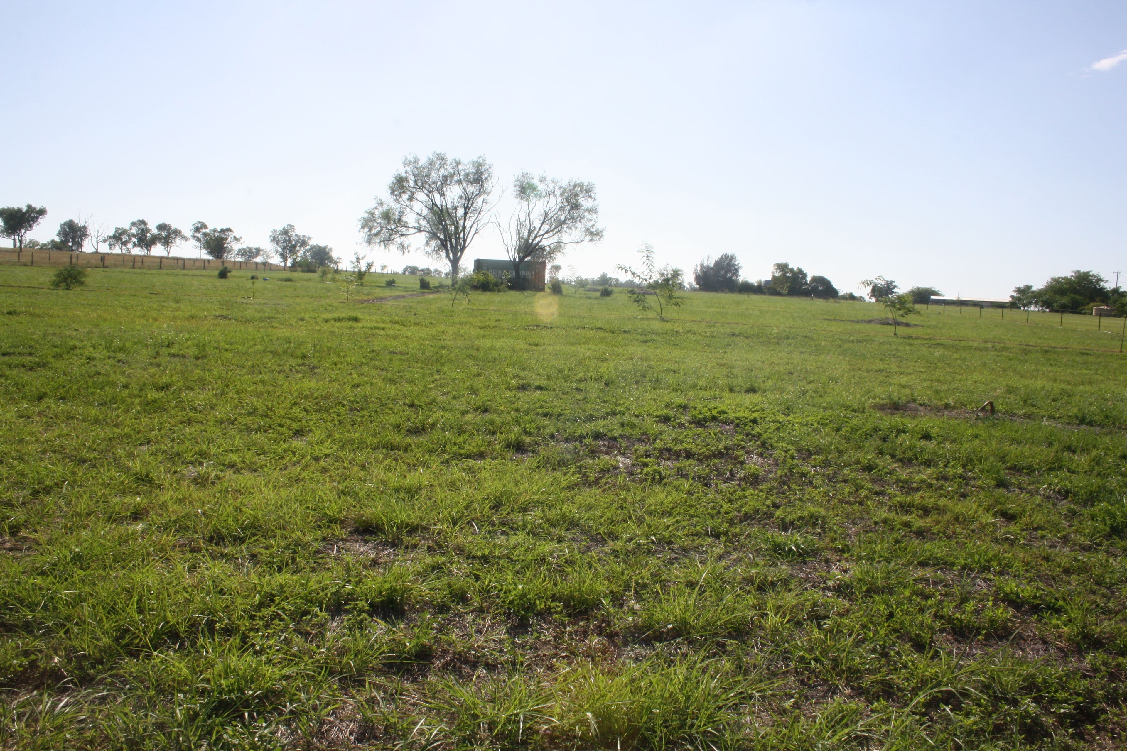 Lot 18 Frank McCauley Street, Mundubbera QLD 4626, Mundubbera - Image 1