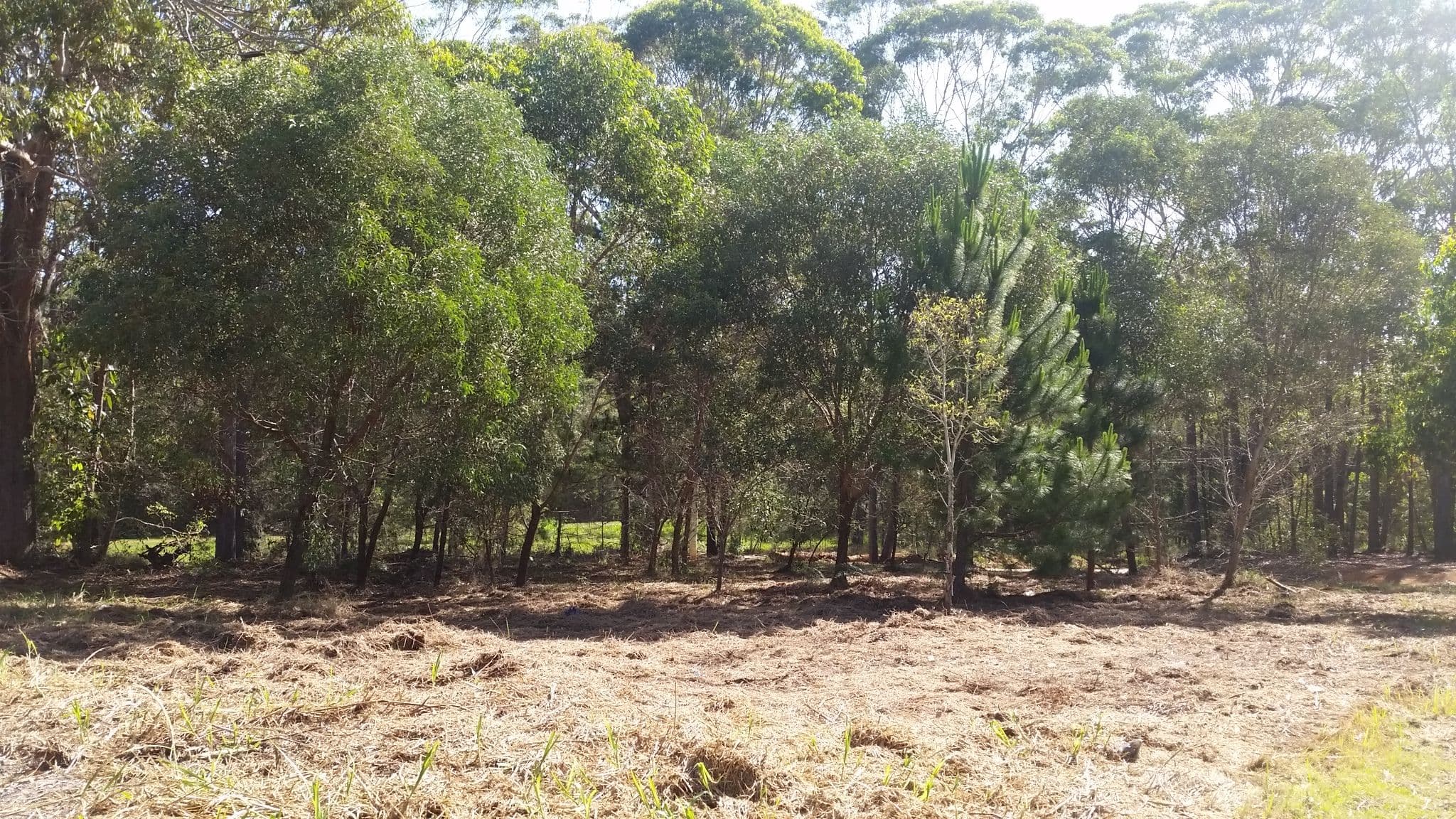 2 Roebuck Road, Russell Island QLD 4184, Russell Island - Image 1