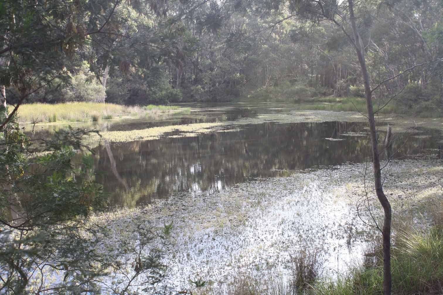 Lot 9 Silent Grove Road, TORRINGTON NSW 2371, Torrington - Image 1