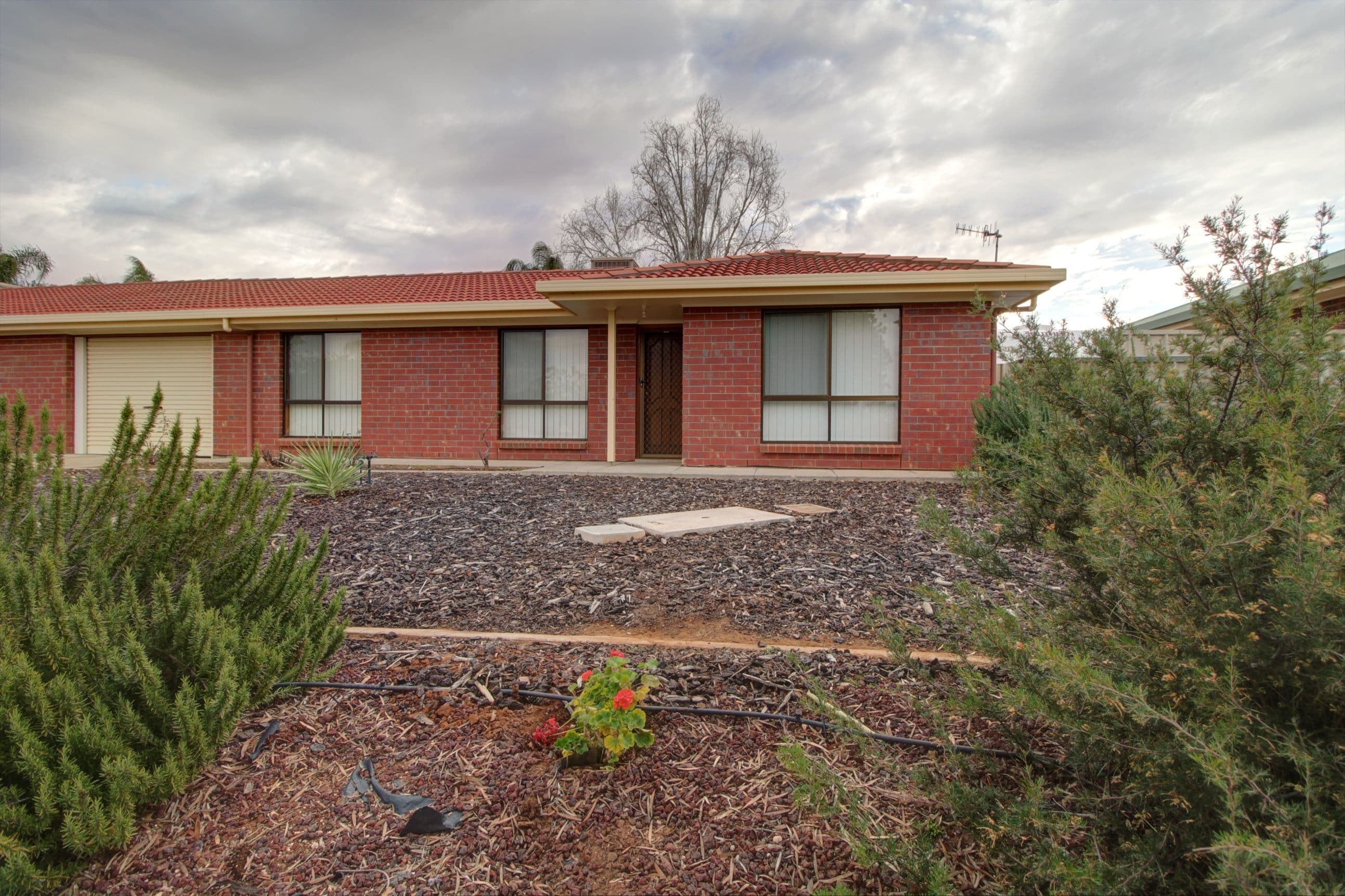 1B Magarey Street, Berri SA 5343, Berri - Image 1