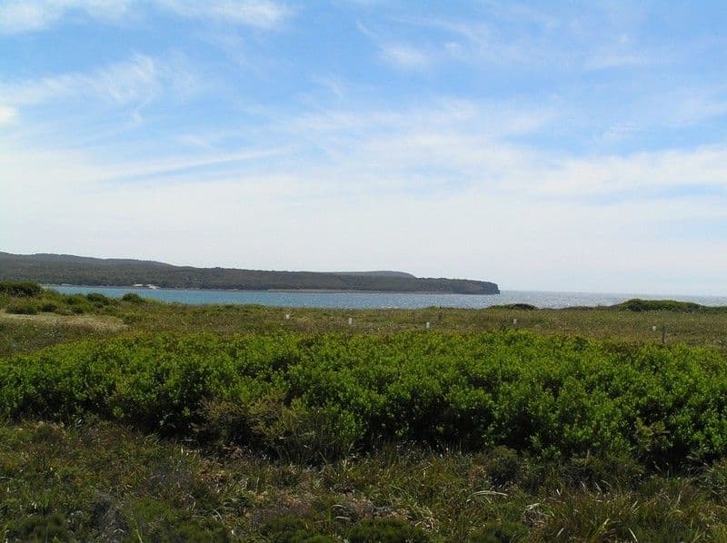57 Seascape Drive, LULWORTH TAS 7252, Lulworth - Image 1