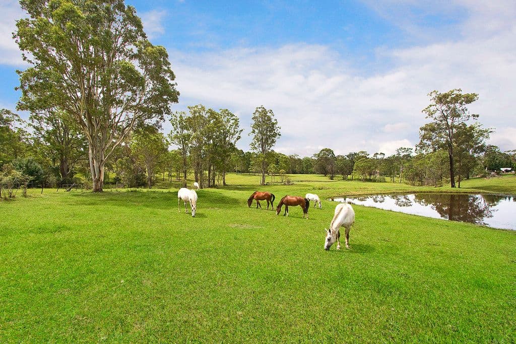 128 Grose River Road, Grose Wold - Image 1