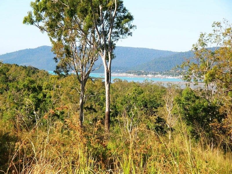 254 Paluma Road, CANNONVALE QLD 4802, Cannonvale - Image 1