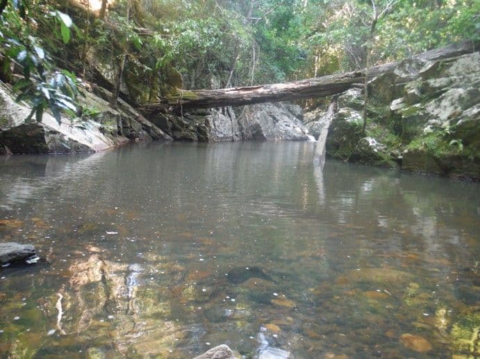 MALENY QLD 4552, Maleny - Image 1