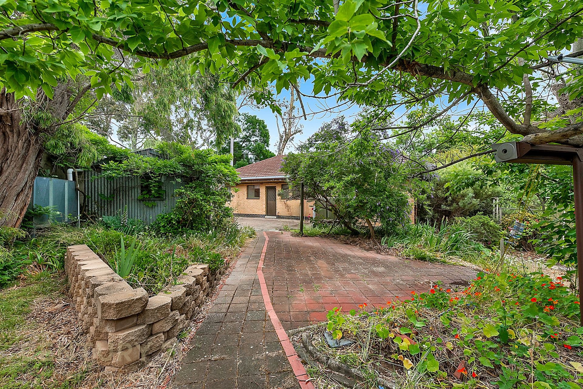 17 Derwent Crescent, Banksia Park, SA, 5091, Banksia Park - Image 1