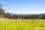 420 Bradys Plain Road, PARKHAM, TAS 7304, Parkham - Image 1