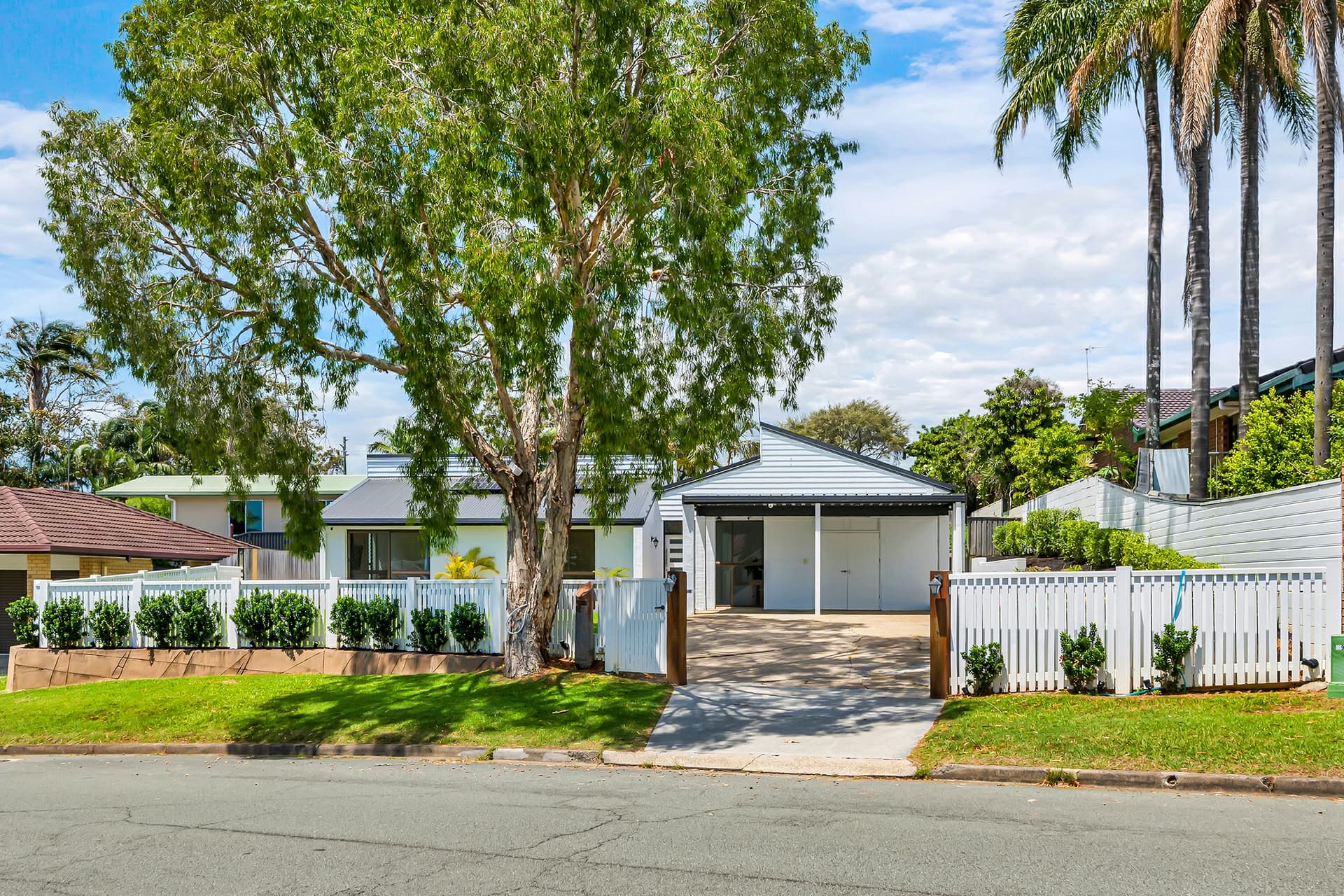 12 Kurrambee Avenue, Ashmore, Ashmore - Image 1
